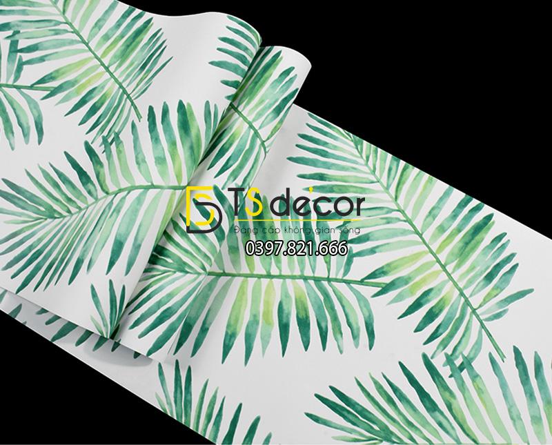 Bề mặt Giấy dán tường lá vạn tuế xanh 3D209
