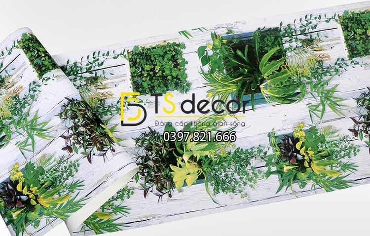 Bề mặt Giấy dán tường lá cây trên nền gỗ mục 3D311