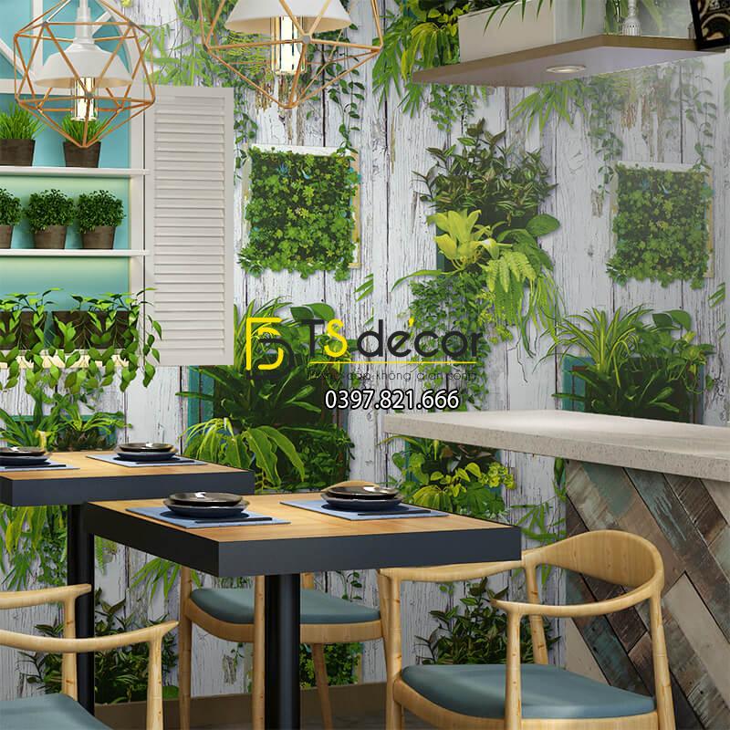 Giấy dán tường lá cây trên nền gỗ mục 3D311 quán cafe