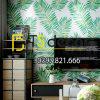 Giấy-dán-tường-lá-vạn-tuế-xanh-3D209-trang-tri-phòng-khách Giấy-dán-tường-lá-vạn-tuế-xanh-3D209-trang-tri-phòng-khách