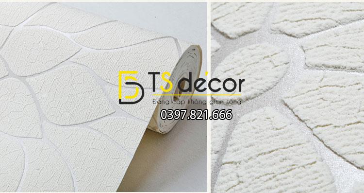 Bề mặt Giấy dán tường hoa cúc 3D161 màu trắng