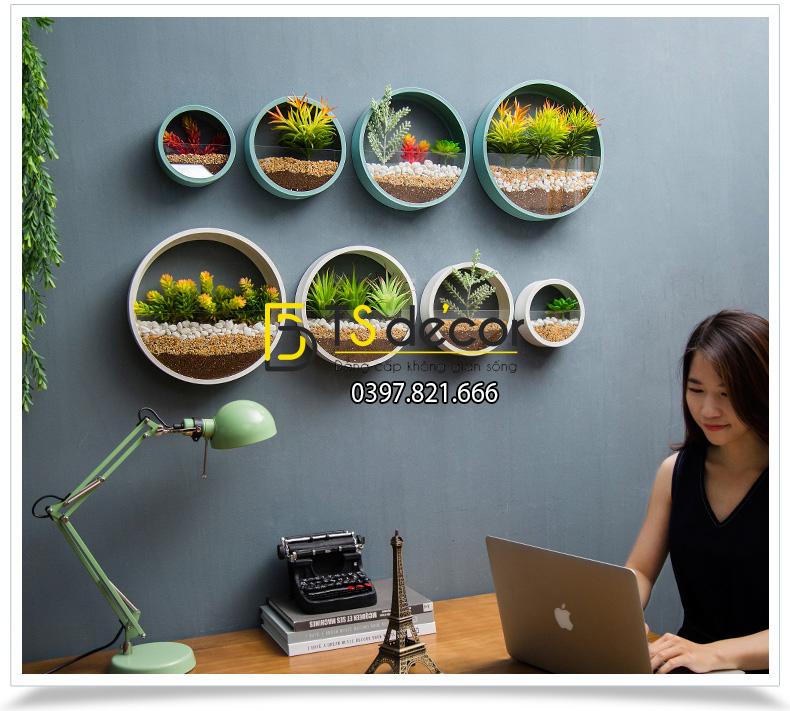Vòng tròn trồng hoa treo tường trang trí nơi làm việc DC03