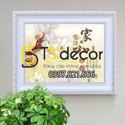 Tranh che o dien 05 Tranh che o dien 05