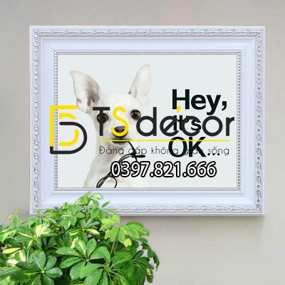 Tranh che o dien 17 Tranh che o dien 17