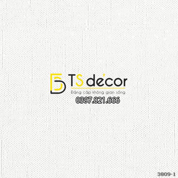 GIẤY DÁN TƯỜNG HÀN QUỐC BASE 3809-1