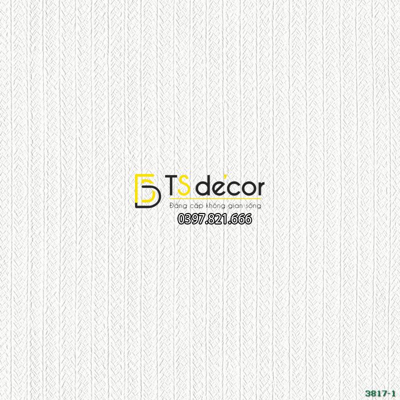 GIẤY DÁN TƯỜNG HÀN QUỐC BASE 3817-1