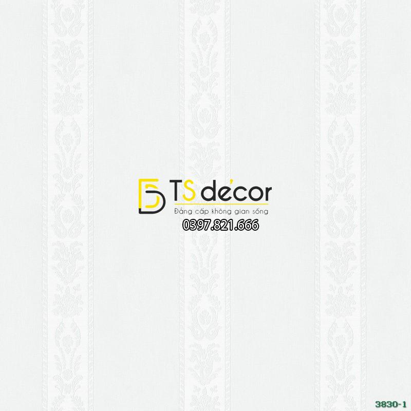 GIẤY DÁN TƯỜNG HÀN QUỐC CỔ ĐIỂN BASE 3830-1