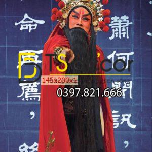 Tranh dán tường 3D Tuồng Trèo Cải Lương HongKong Trung Quốc HKCL02