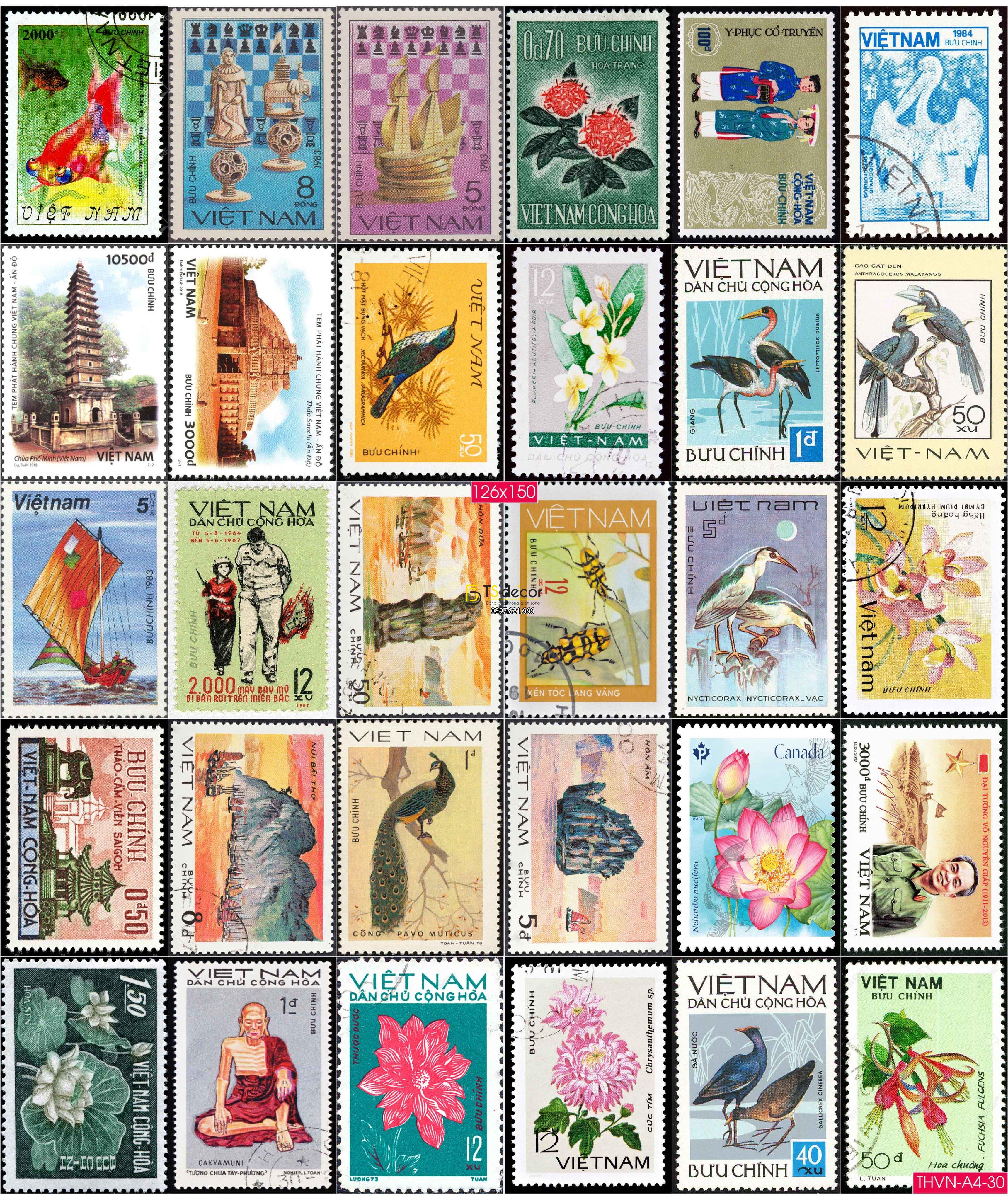 Combo 50 hình Decal Con Tem Việt Nam Xưa Khổ A3 A4