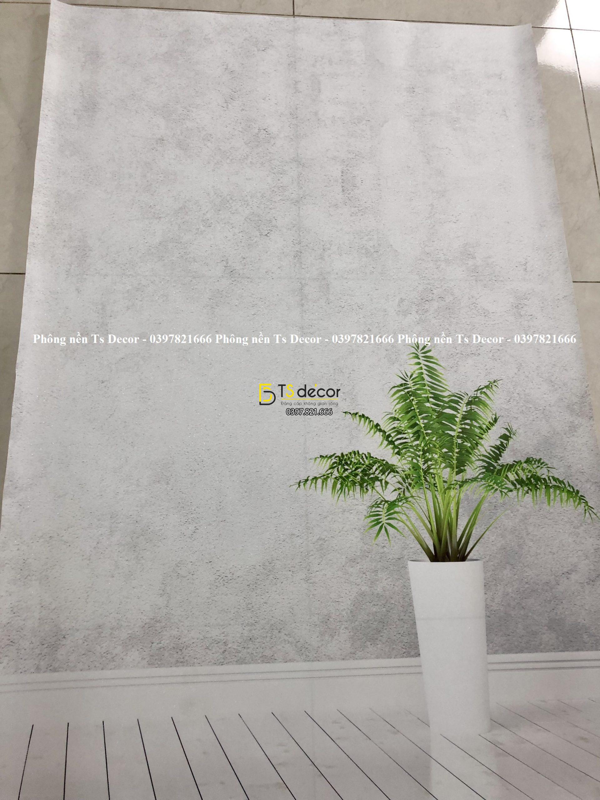 Thực Tế Phông Nền Livestream Chụp Ảnh Tường Xám Xi Măng Nhạt 3D 5D Mã P11