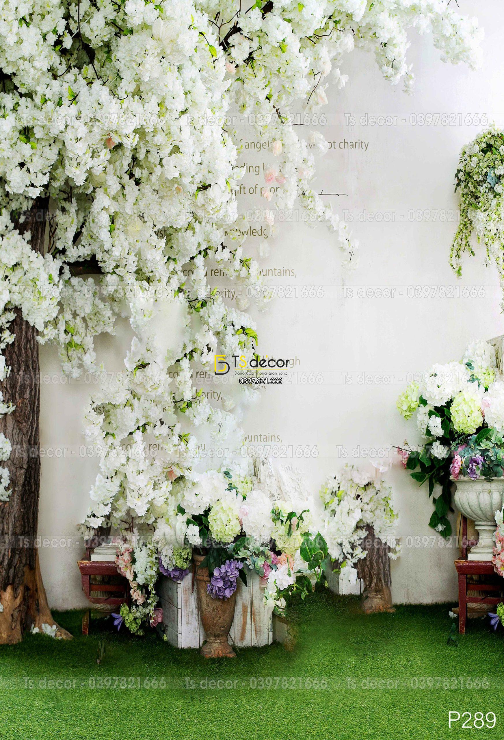 Phông Nền Livestream Chụp Ảnh Cổng Hoa 3D 5D Mã P289