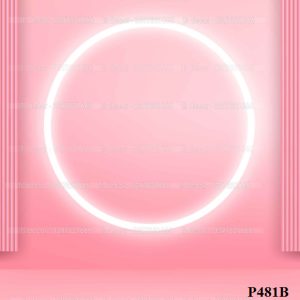 Phông Nền Livestream Chụp Ảnh Decor Trang Trí Hồng Cute 3D 5D Mã P481B