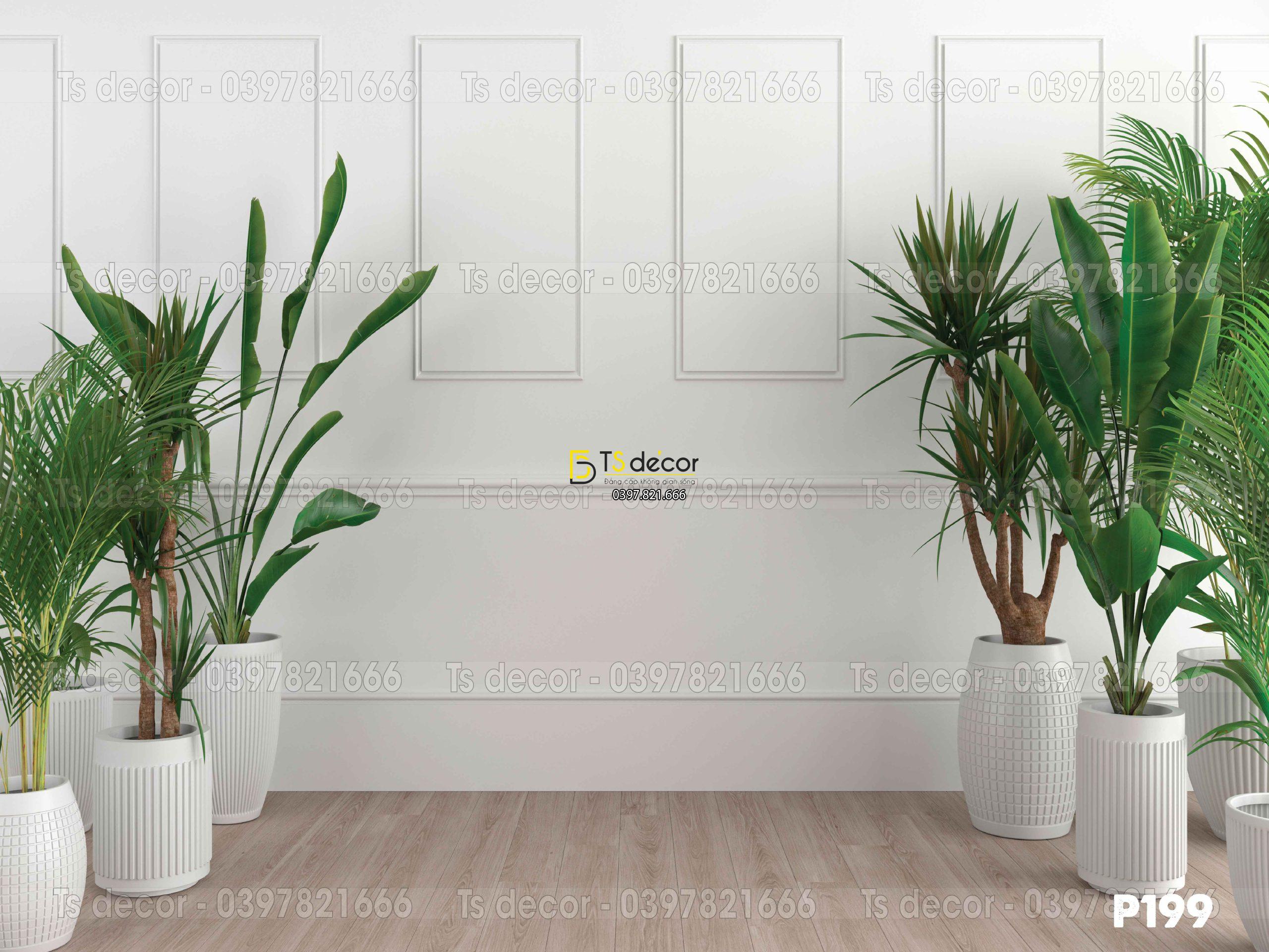 Phông Nền Livestream Chụp Ảnh Giả Tường Có Cây 3D 5D Mã P199