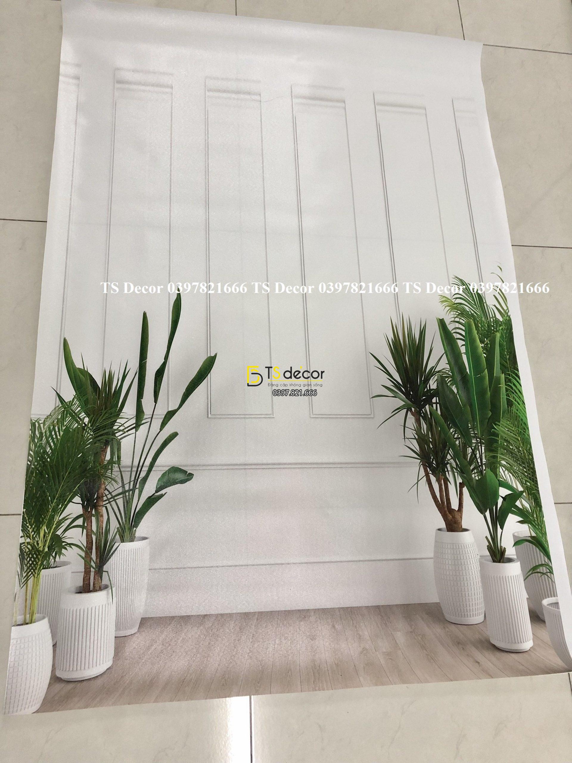 Phông Nền Livestream Chụp Ảnh Giả Tường Có Cây 3D 5D Mã P199