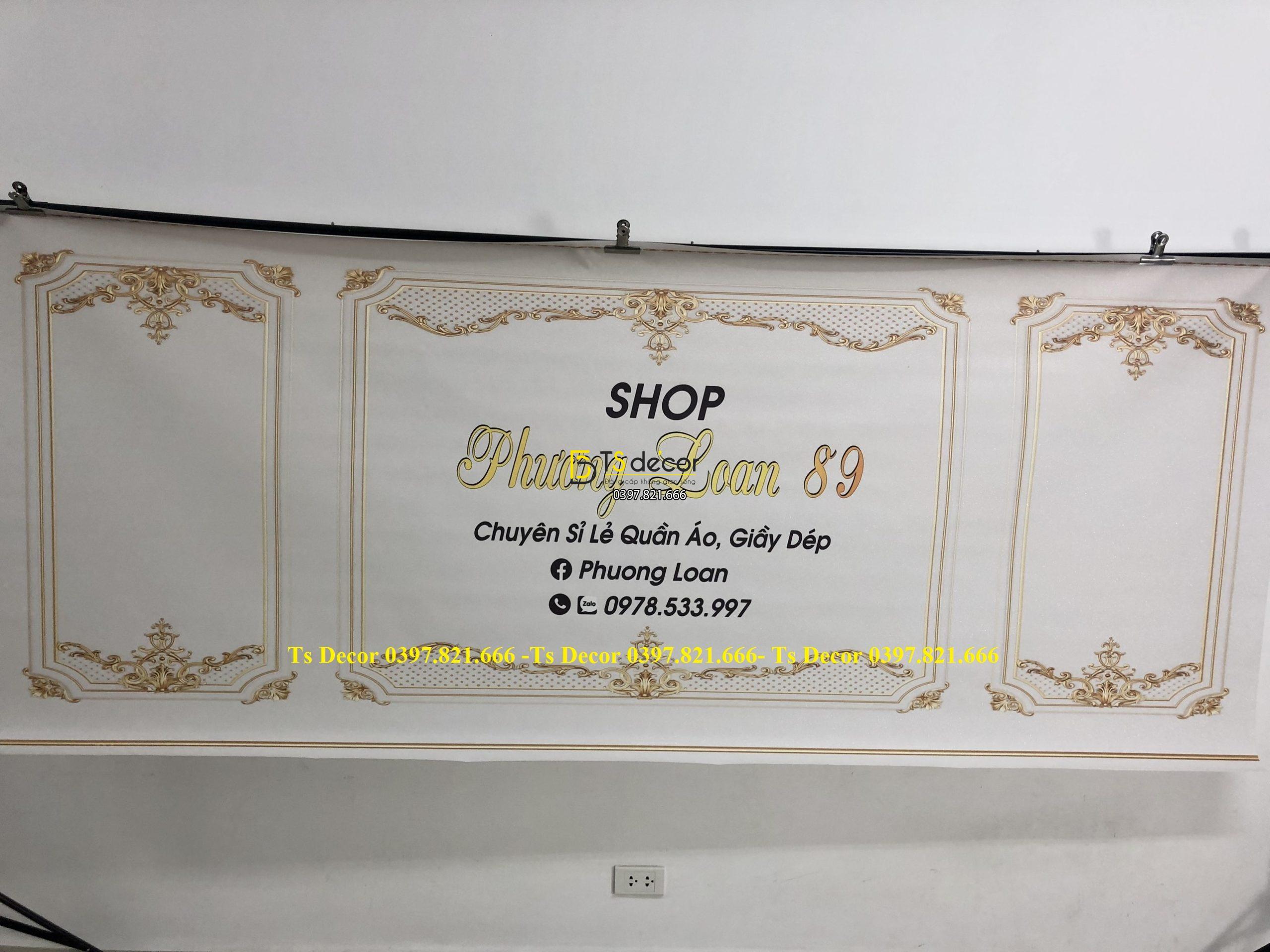 Phông Nền Livestream Chụp Ảnh Phào Chỉ Tân Cổ Điển 3D 5D Mã P268