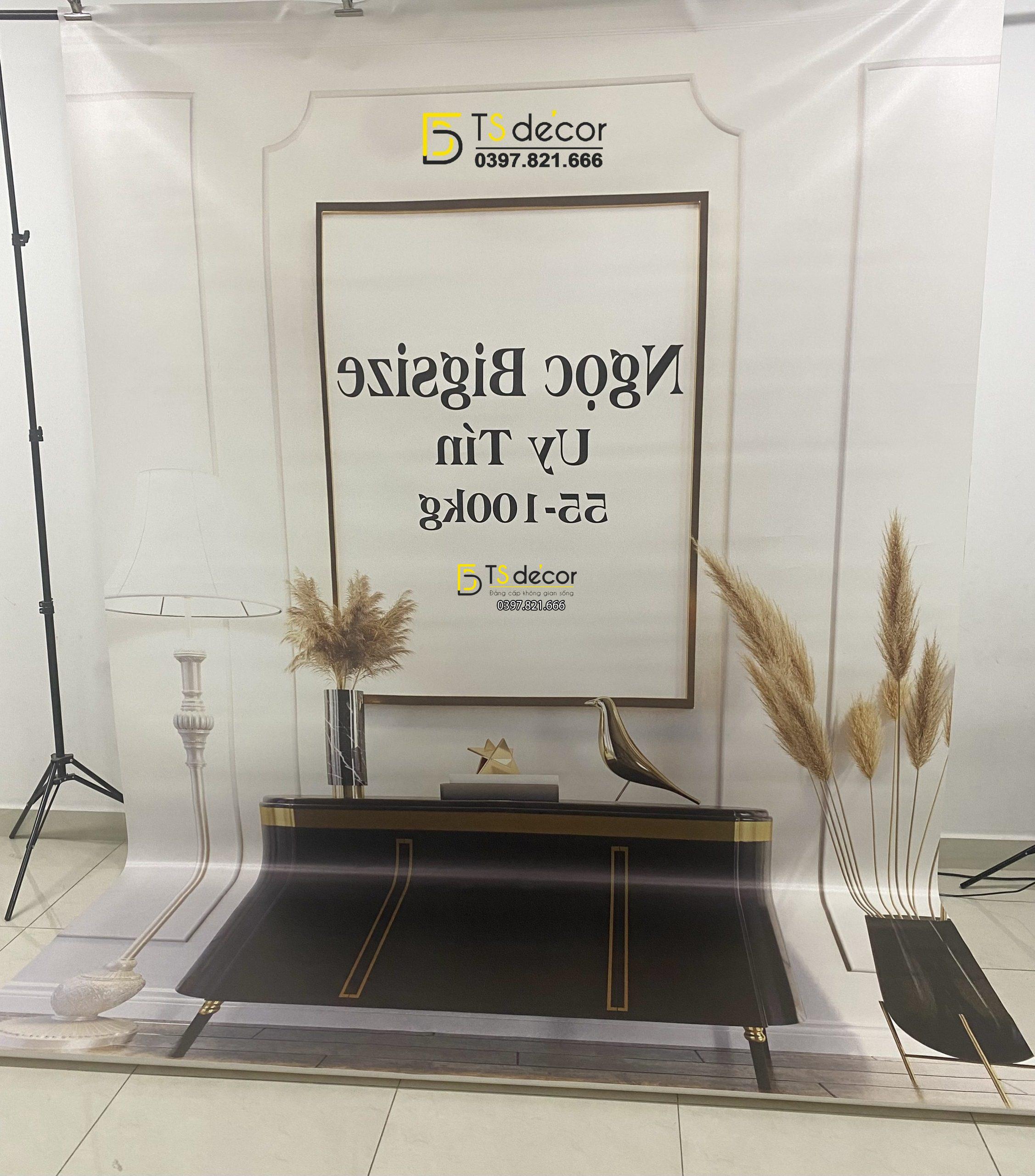 Phông Nền Livestream Chụp Ảnh Hiện Đại 3D 5D Mã P363