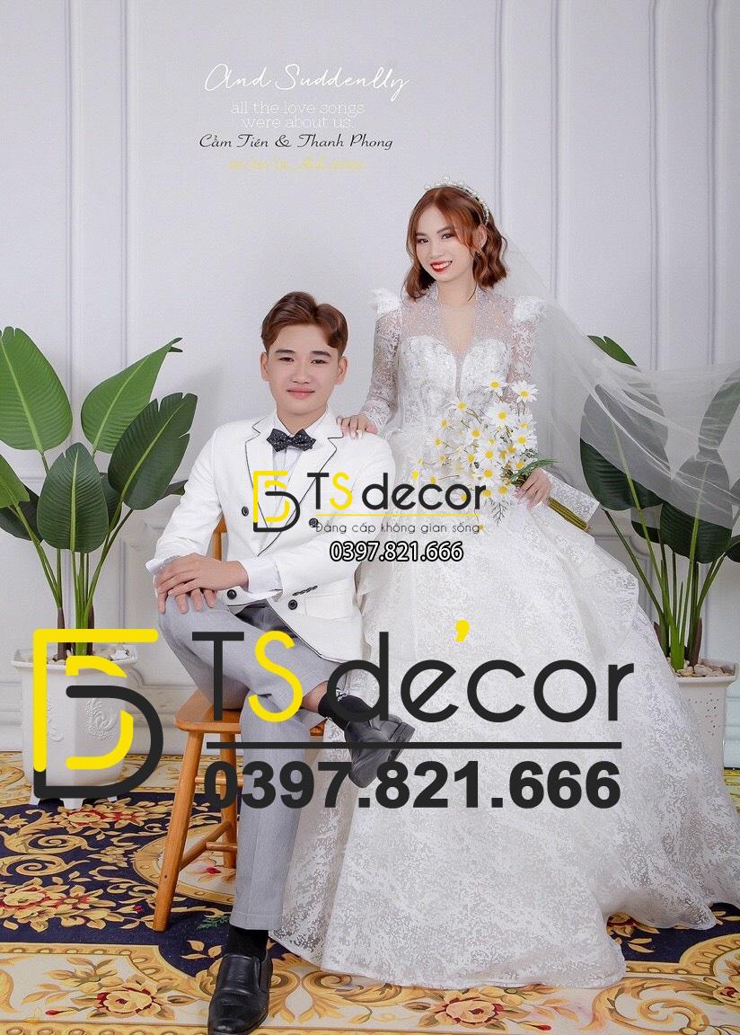 Phông Nền Livestream Chụp Ảnh Trắng Phào Chỉ Tân Cổ Điển 3D 5D Mã P287