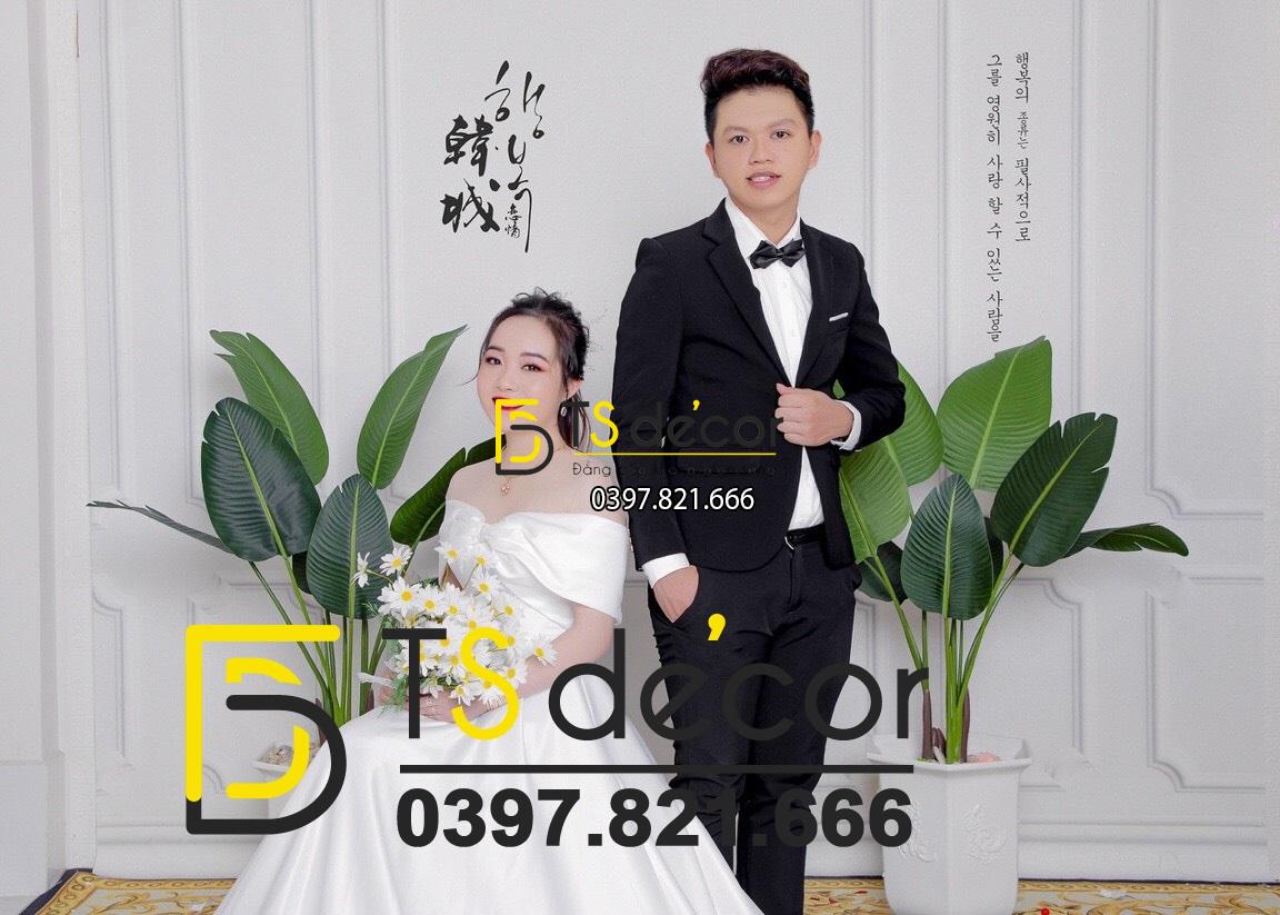 Phông Nền Livestream Chụp Ảnh Trắng Phào Chỉ Tân Cổ Điển 3D 5D Mã P287