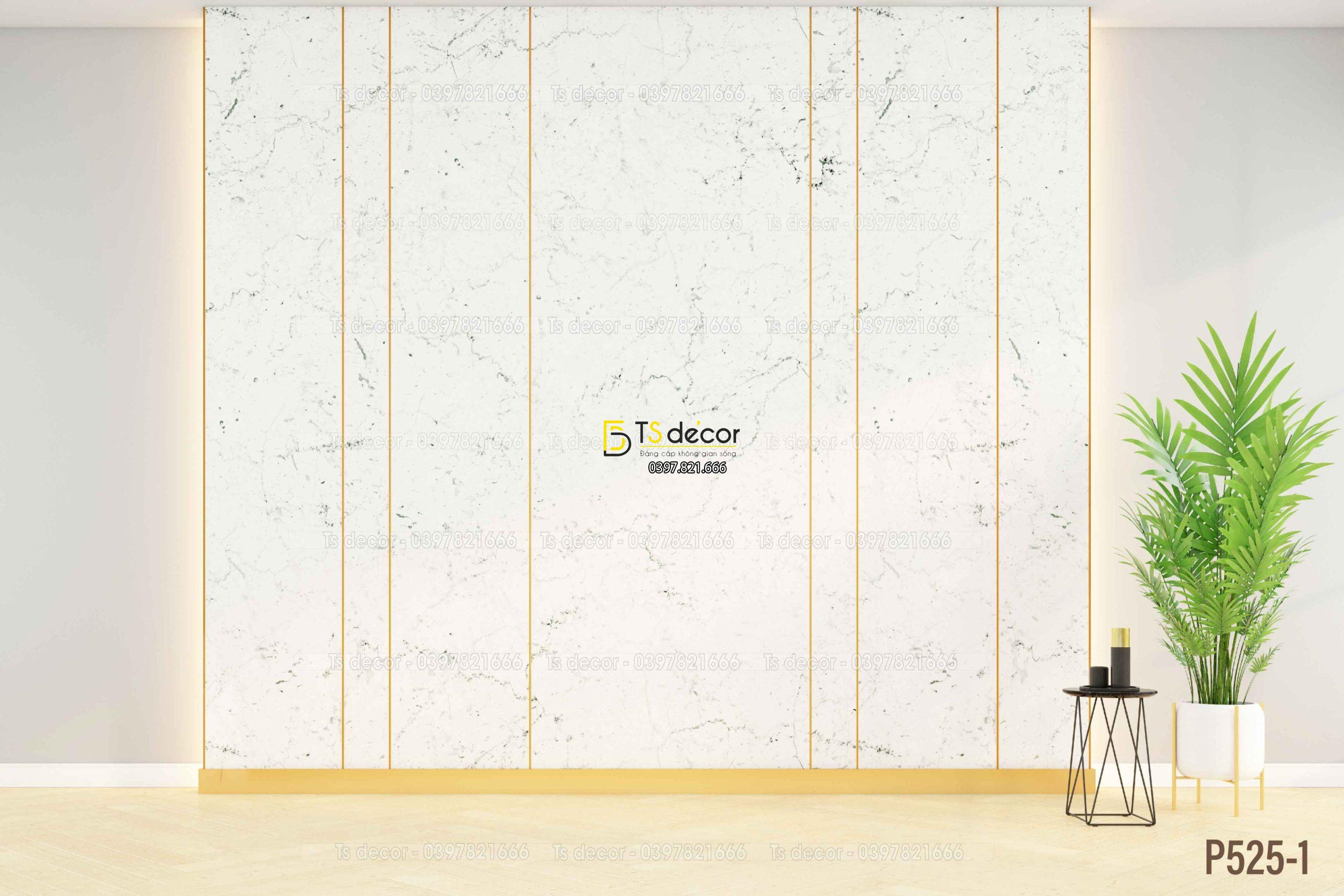 Phông Nền Livestream Chụp Ảnh Decor Trang Trí Tường Hiện Đại 3D 5D Mã P525