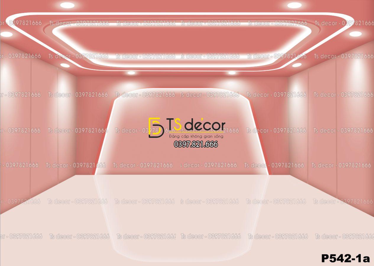 Phông Nền Livestream, Chụp Ảnh Xu Hướng Hiện Đại 3D 5D Mã P542-1a