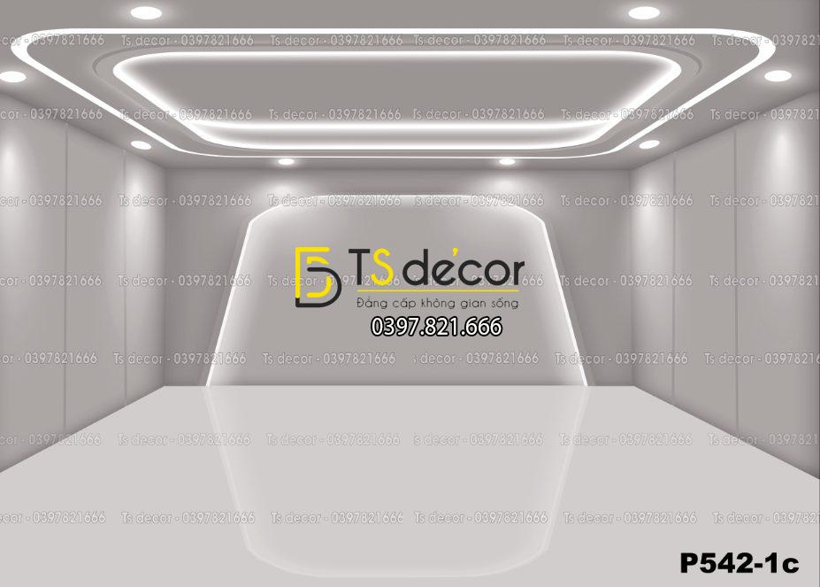 Phông Nền Livestream, Chụp Ảnh Xu Hướng Hiện Đại 3D 5D Mã P542-1c