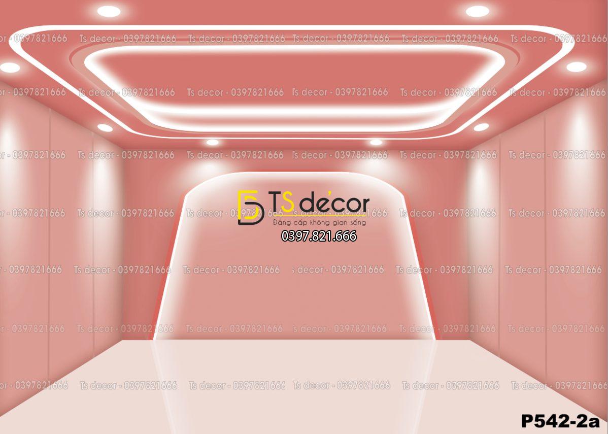 Phông Nền Livestream, Chụp Ảnh Xu Hướng Hiện Đại 3D 5D Mã P542-2a