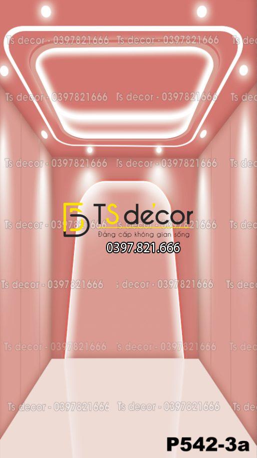 Phông Nền Livestream, Chụp Ảnh Xu Hướng Hiện Đại 3D 5D Mã P542-3a