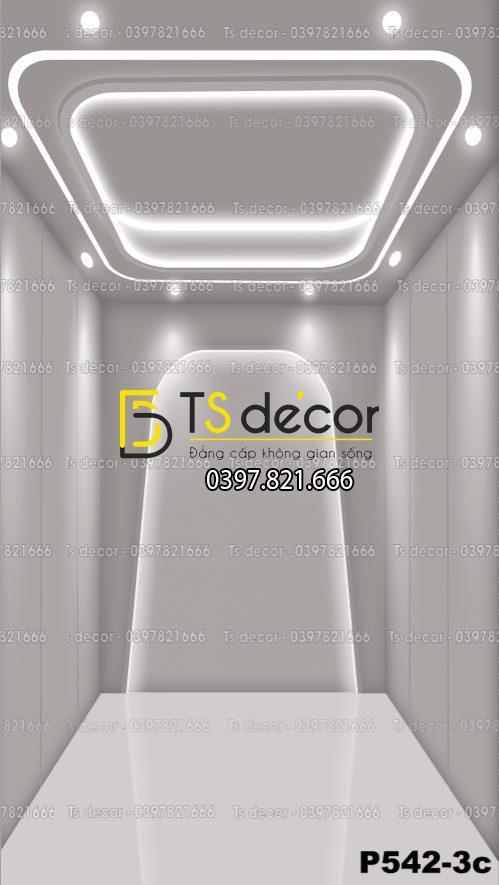 Phông Nền Livestream, Chụp Ảnh Xu Hướng Hiện Đại 3D 5D Mã P542-3c