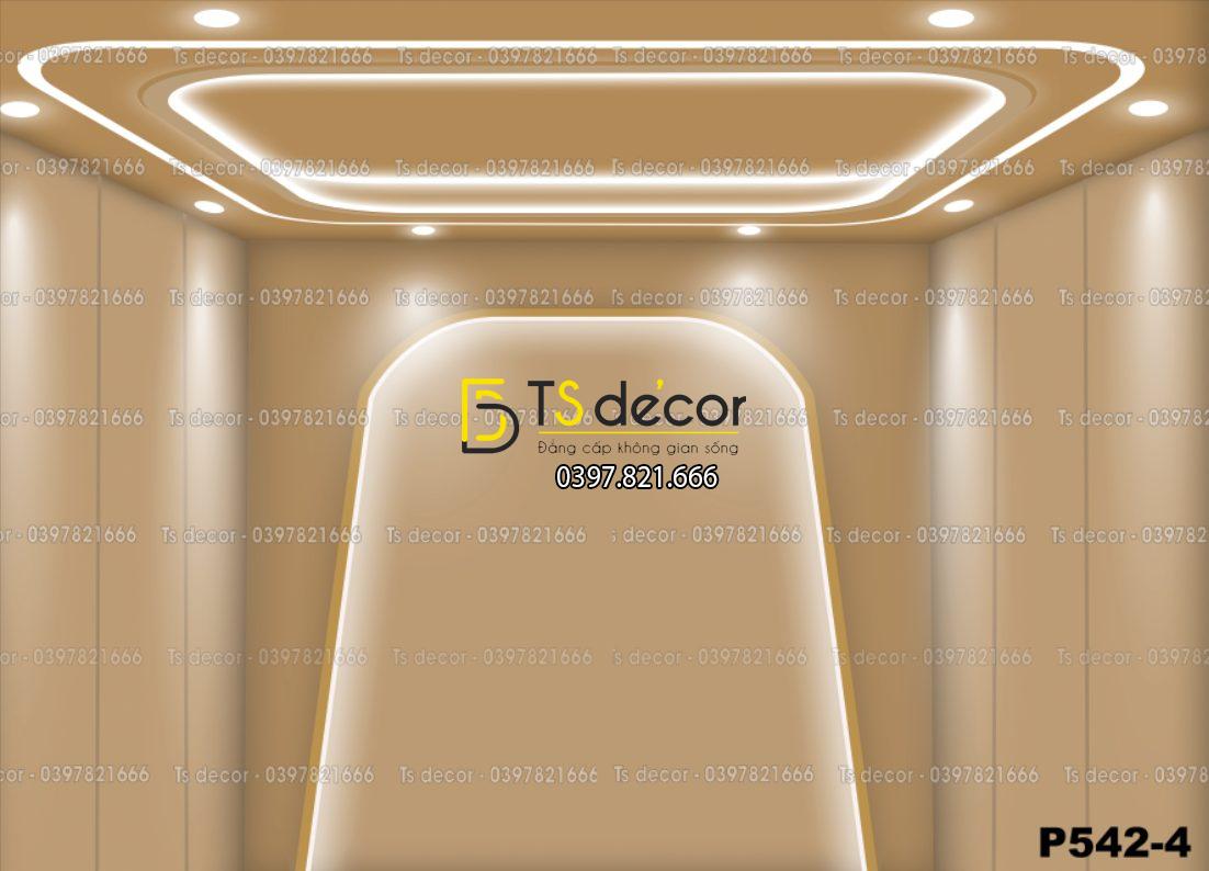 Phông Nền Livestream, Chụp Ảnh Xu Hướng Hiện Đại 3D 5D Mã P542-4