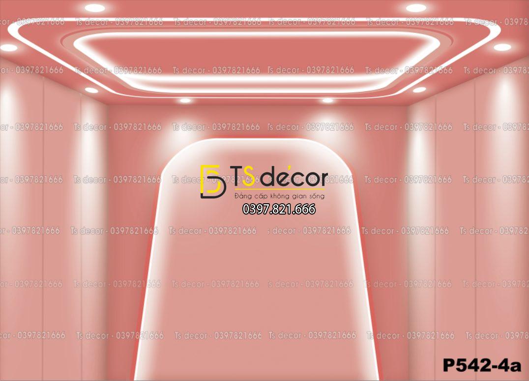 Phông Nền Livestream, Chụp Ảnh Xu Hướng Hiện Đại 3D 5D Mã P542-4a