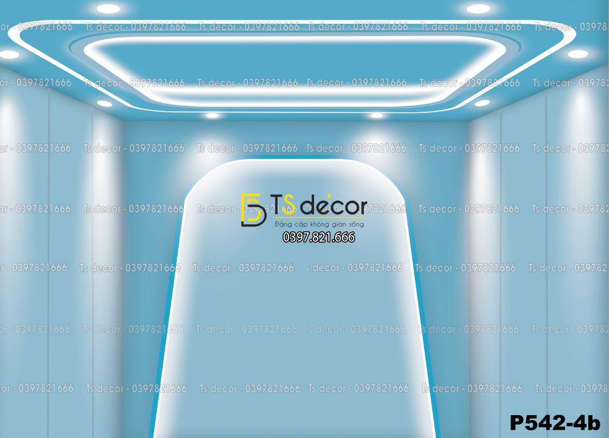 Phông Nền Livestream, Chụp Ảnh Xu Hướng Hiện Đại 3D 5D Mã P542-4b