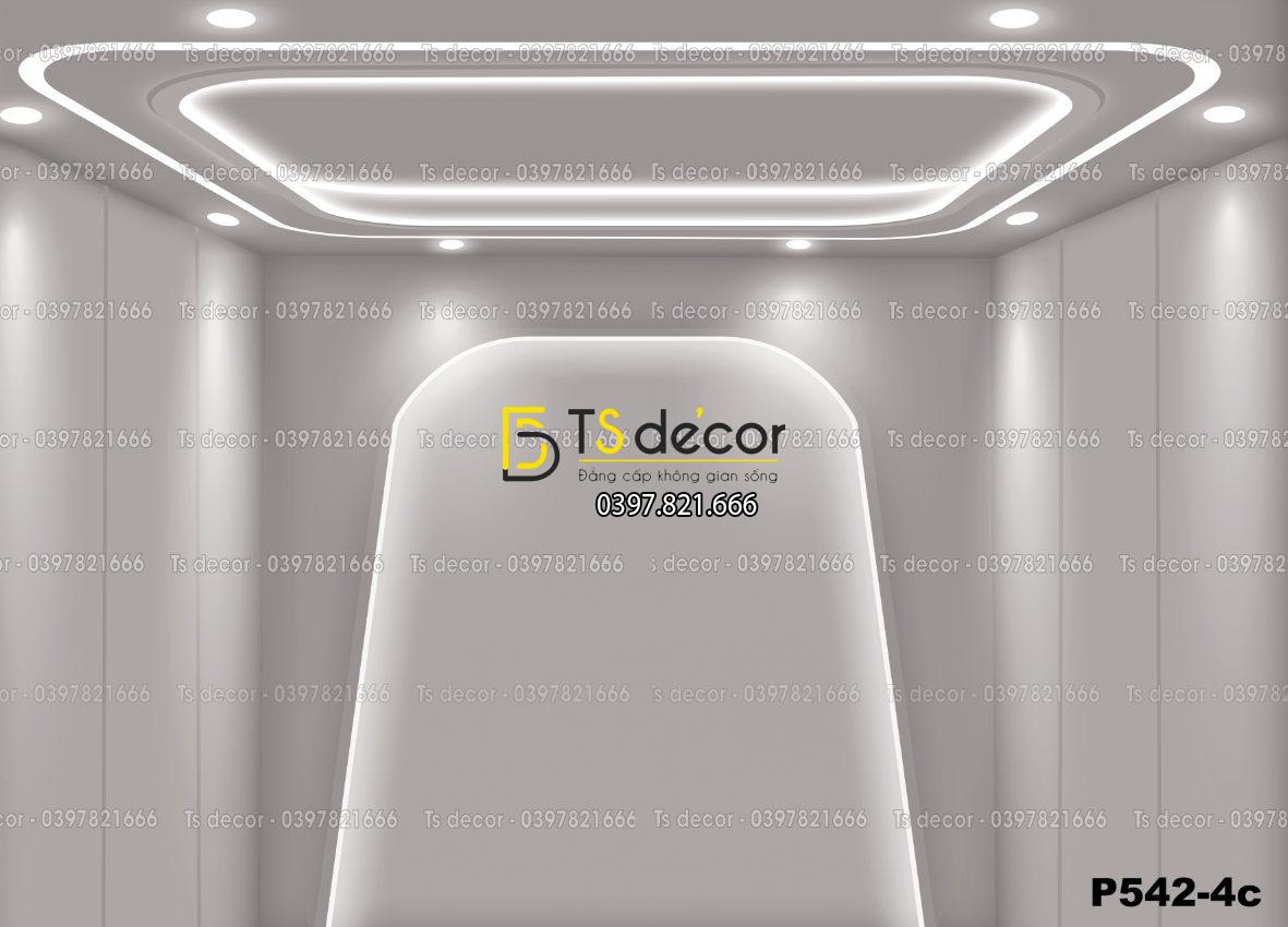 Phông Nền Livestream, Chụp Ảnh Xu Hướng Hiện Đại 3D 5D Mã P542-4c