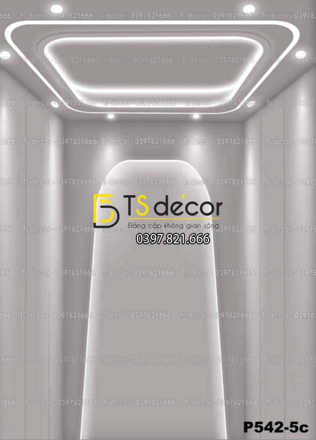 Phông Nền Livestream, Chụp Ảnh Xu Hướng Hiện Đại 3D 5D Mã P542-5c