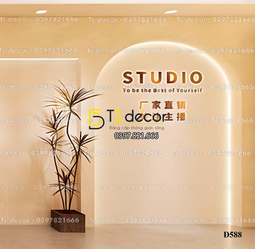 Phông Nền, Background Livestream Chụp Ảnh, Quay video Hiện Đại 3D 5D Mã Đ588