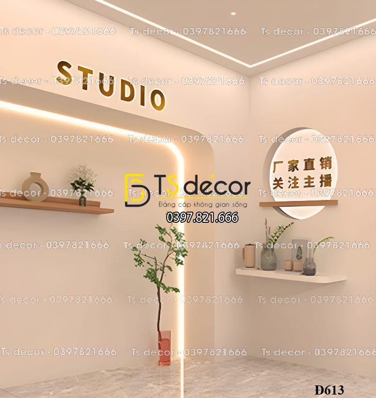 Phông Nền, Background Livestream Chụp Ảnh, Quay video Hiện Đại 3D 5D Mã Đ613