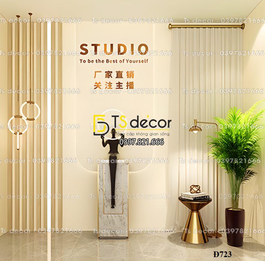 Phông Nền, Background Livestream Chụp Ảnh, Quay video Hiện Đại 3D 5D Mã Đ723