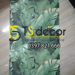 Giấy Dán Tường Họa Tiết Lá Chuối Dân Dã 3D262 - Ảnh 5