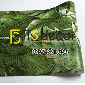 Giấy Dán Tường Họa Tiết Lá Chuối Dân Dã 3D262 - Ảnh 7