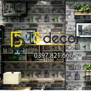 Giấy Dán Tường Họa Tiết Chậu Hoa Độc Đáo 3D205 - Ảnh 2