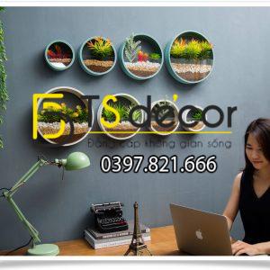 Vòng Tròn Trồng Hoa Treo Tường Trang Trí Cửa Hàng DC03 - Ảnh 3