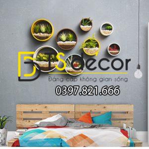 Vòng Tròn Trồng Hoa Treo Tường Trang Trí Cửa Hàng DC03 - Ảnh 4
