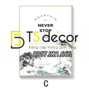 TRANH TREO TƯỜNG ĐƠN CANVAS HỌA TIẾT HIỆN ĐẠI TD3D007 - Ảnh 31