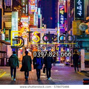 Tranh Dán Tường 3D Phong Cách Đường Phố Hàn Quốc-HQ5D - Ảnh 9