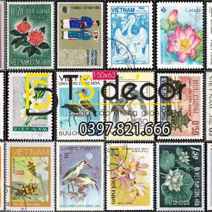 Combo 30 hình Decal Con Tem Việt Nam Xưa trang trí Cafe,trà sữa Khổ A3 A5 A4 - Ảnh 2