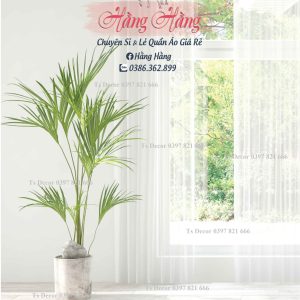 Phông Nền Livestream Chụp Ảnh Giả Cửa Sổ, Có Cây 3D 5D Mã P151 - Ảnh 2