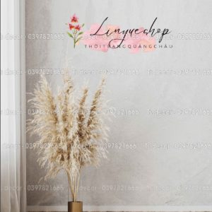 Phông Nền, Background Phụ Kiện Livestream Chụp Ảnh 3D 5D Mã P198 - Ảnh 3