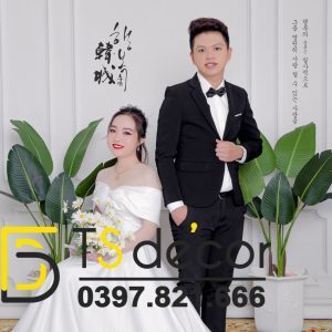 Phông Nền Livestream Chụp Ảnh Trắng Phào Chỉ Tân Cổ Điển 3D 5D Mã P287 - Ảnh 3