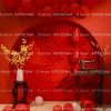 Phông Nền, Background Livestream Chụp Ảnh, Quay video Hiện Đại 3D 5D Mã Đ968