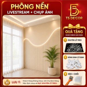 Phông Nền Livestream 5D Tạo Chiều Sâu Giúp Rộng Góc Live, Background Chụp Ảnh Bán Hàng Online Đẹp Đ6024A/ Đ6028/  Đ6046